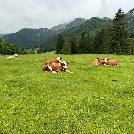 Garten Apartamento Bayrischzell