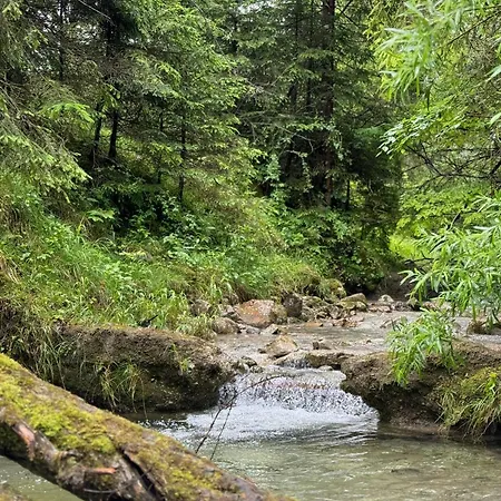 Διαμέρισμα Garten Bayrischzell