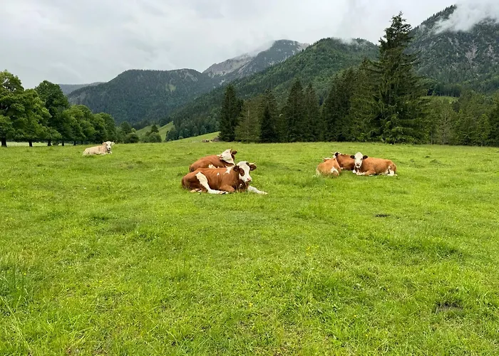 Garten Appartamento Bayrischzell